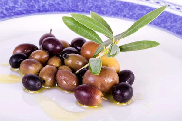 Stock image Plate with olives