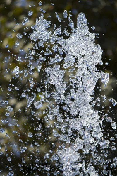 Gevallen waterdruppels — Stockfoto