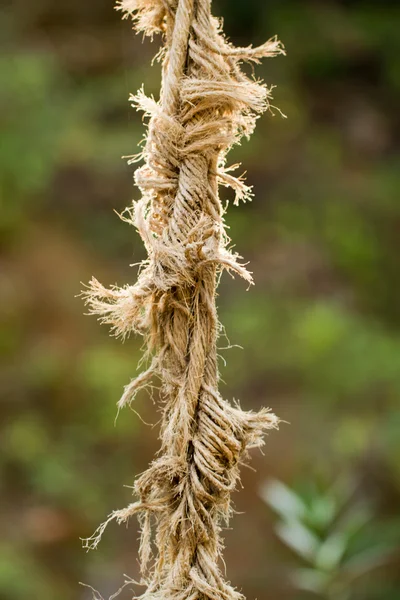 stock image Ripped rope