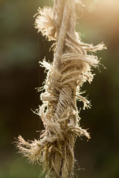 Ripped rope — Stock Photo, Image