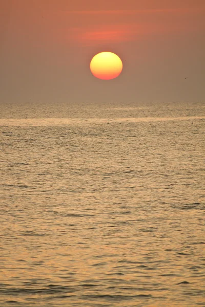 Rød sol ved solnedgang - Stock-foto