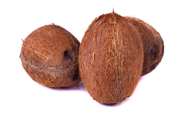 Kokosnüsse auf Weiß — Stockfoto