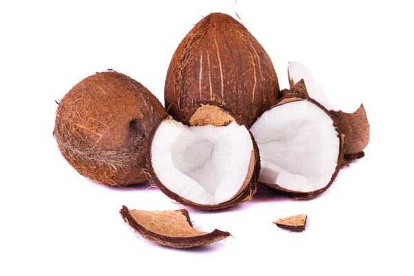 stock image Coconuts on white