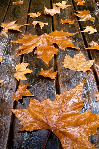 Wooden table with autumn leaves — Stock Photo, Image