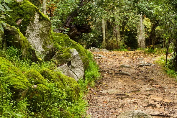 stock image Beautiful park