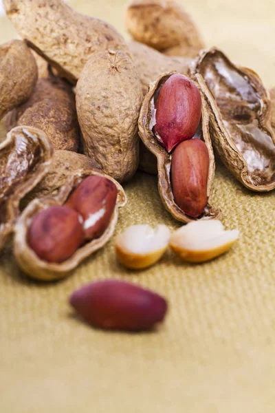 stock image Tasty peanuts