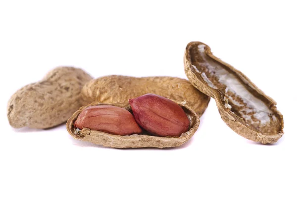 Erdnüsse auf Weiß — Stockfoto