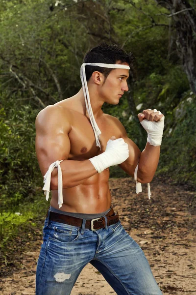 Apto macho em uma posição de lutador — Fotografia de Stock