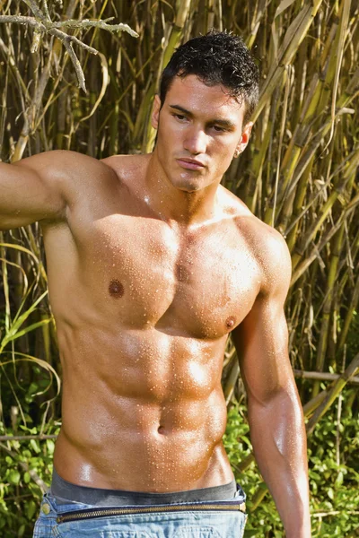 Male model with muscles on the countryside — Stock Photo, Image