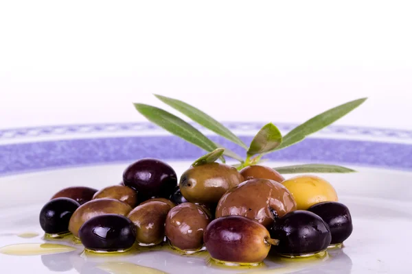 stock image Plate with olives