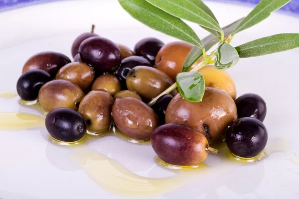 stock image Plate with olives