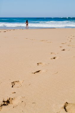 sagres içinde güzel bir plaj