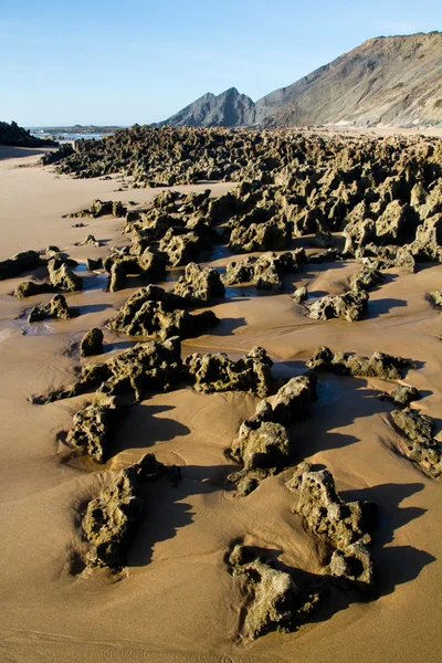 Sagres içinde güzel bir plaj — Stok fotoğraf