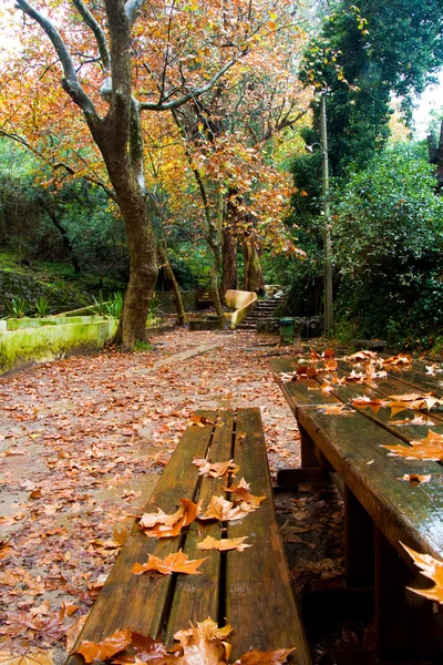 Güzel park