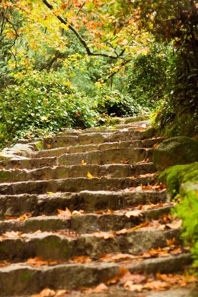 stock image Beautiful park