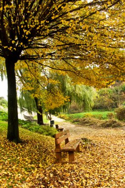 Güzel park