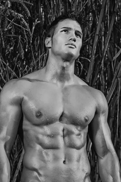 Männliches Modell mit Muskeln auf dem Land — Stockfoto
