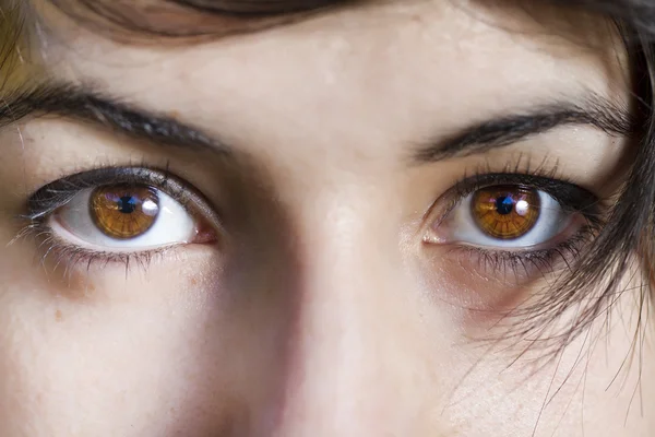 stock image Beautiful eyes