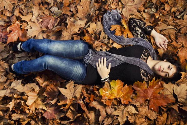 Stock image Middle of autumn leaves