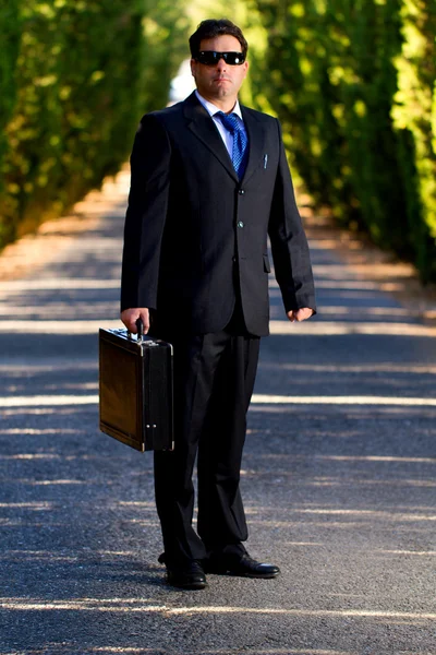 stock image Business man with suitcase on a road