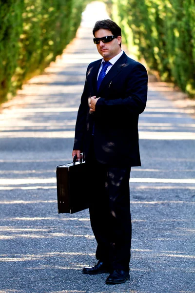 Business man with suitcase on a road — Stock Photo, Image