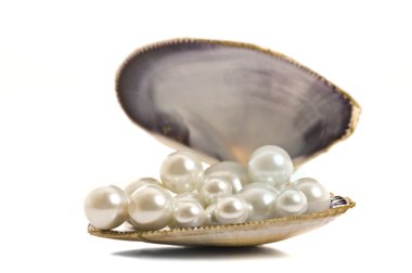 Beautiful pearls in a seashell clipart