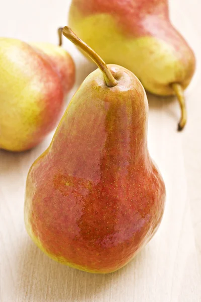 Ripe pear in autumn colors — Stock Photo, Image