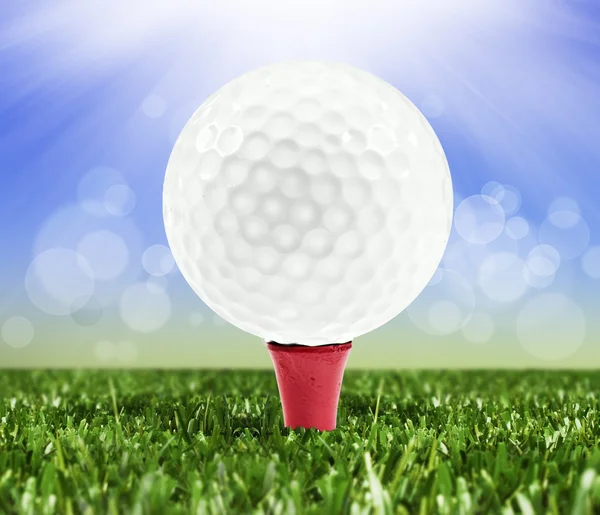 Fondo primavera con una pallina da golf su un piolo — Foto Stock