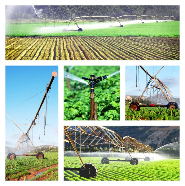 Collage of irrigation images — Stock Photo, Image