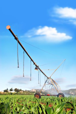 Modern irrigation system watering a farm field in late afternoon sunlight clipart