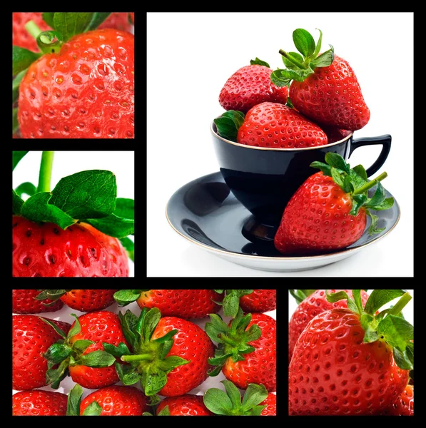 Erdbeer-Collage - reife frische Erdbeeren — Stockfoto