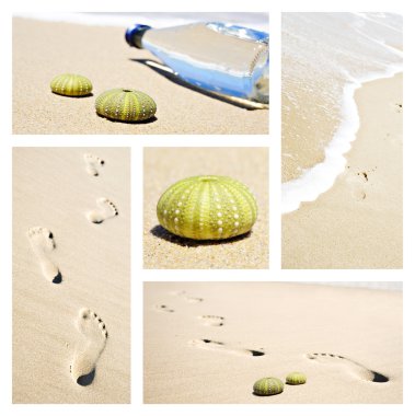 Collage of beach scenes with footprints and sea urchin shells clipart