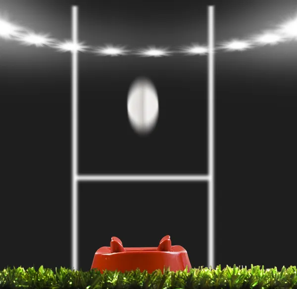 Rygby ball kicked to the posts