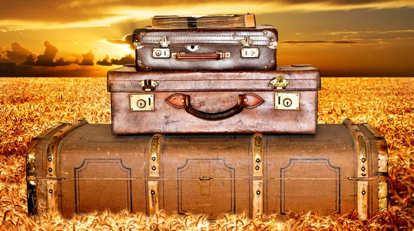 Utazó bőrönd napnyugtakor búza területén — Stock Fotó