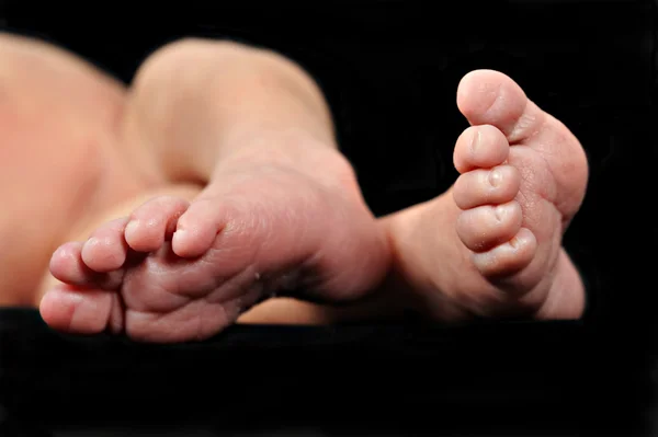 De blote voeten van een pasgeboren baby — Stockfoto