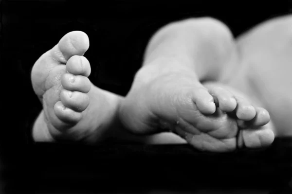 De blote voeten van een pasgeboren baby — Stockfoto