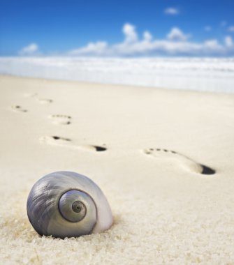 Sea shell and foot prints on a sandy beach clipart