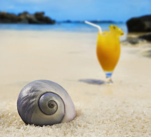 Bella conchiglia su un'isola tropicale spiaggia con cocktail di frutta in background — Foto Stock
