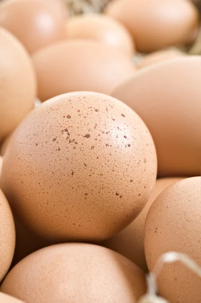 Fresh healthy eggs from the farm ready to be cooked — Stock Photo, Image