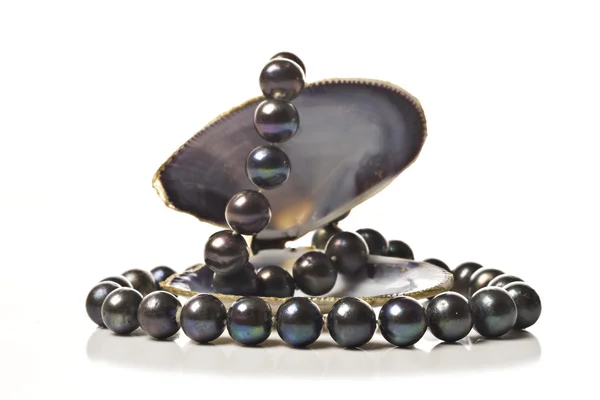 Cadena de perlas negras en una concha marina — Foto de Stock