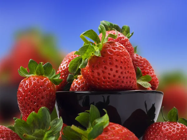 Świeże truskawki zdrowy dla zdrowej diety — Zdjęcie stockowe
