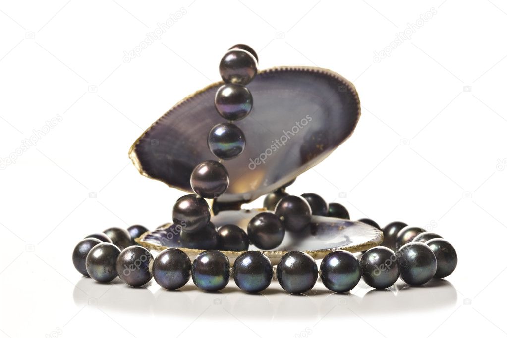 String of black pearls in a sea shell