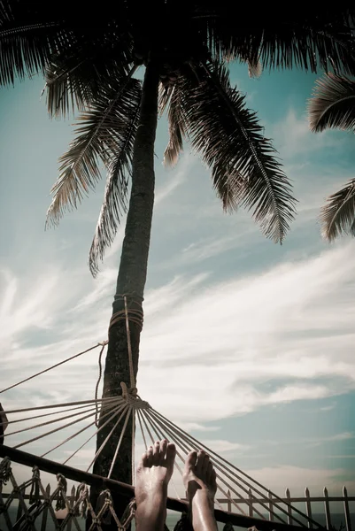 Resting under the palm tree — Stock Photo, Image