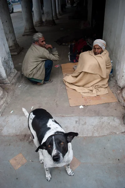 Um cão e dois homens na rua Delhi Imagens De Bancos De Imagens Sem Royalties