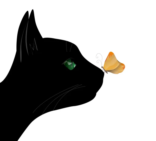 Papillon sur le nez du chat — Image vectorielle