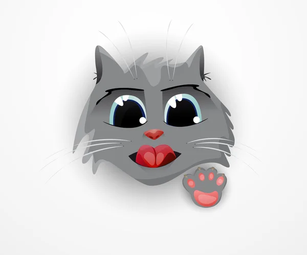 Museau petit chaton — Image vectorielle