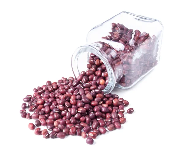 红小豆散落在白色背景上 — 图库照片