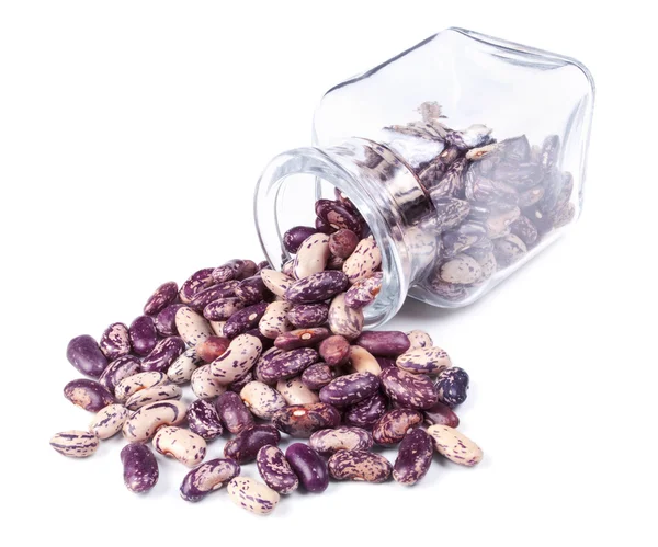 散落在白色背景上的紫色斑点的豆 — 图库照片