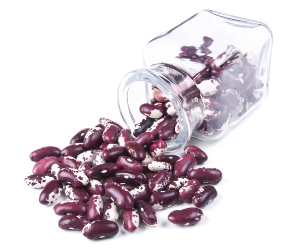 Фіолетові боби розкидані на білому тлі — стокове фото
