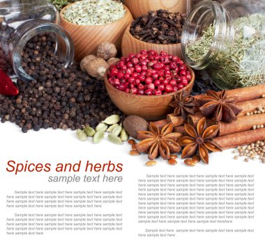 Background of different spices with sample text clipart